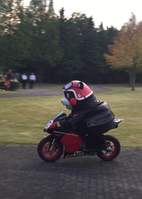 Kumamon on his new Honda NSF 100 Kumamon version.Yes, he can actually ride this racing machine!! Wha