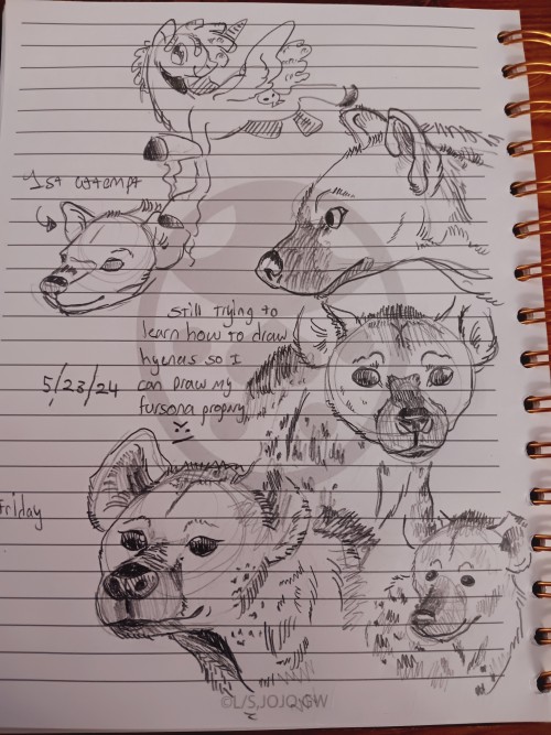 One Of These Days Ill Retain The Info On How To Draw A Hyena Properly I Swear