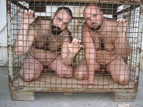 maypainted:  artistbehr:  Bunk beds.   Caged.