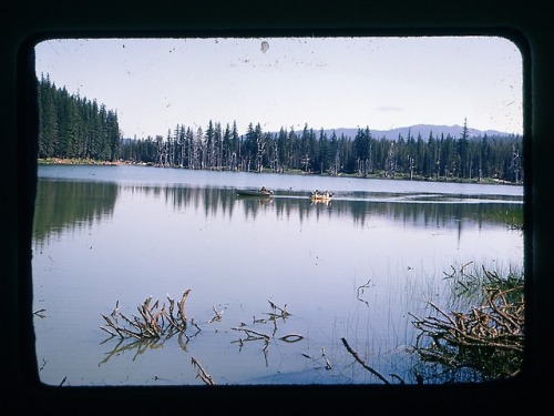 slideofthetimes:August 1970 // lake // Oregon