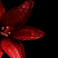 mysticfqll