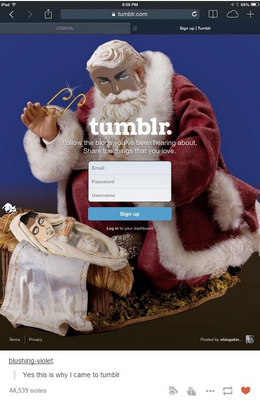 Tumblr media