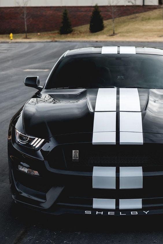 Racing car and Muscle Car ,Hot Rod ,Kustom more