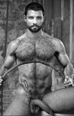 Kingsizecock:  🔹Kingsizecock 🔹Kingsizecock.tumblr.com🔹