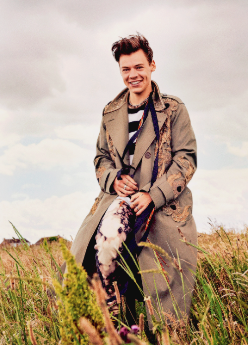 lsanchor: harry ✖ another man