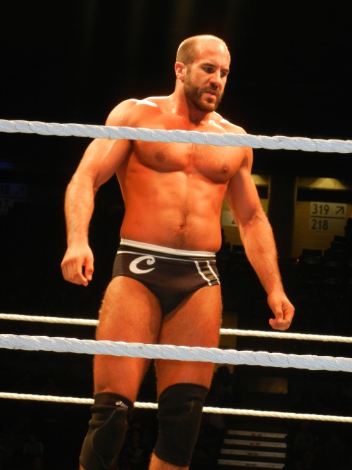 puruszigglersexus:  rwfan11:  jkriver:  Few random pictures from WWE Springfield 5.31.14  …..the first pic alone earns this a reblog! :-) …..that ass wants OUT!  Wys 