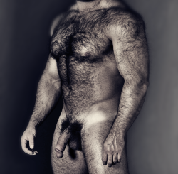 hairy chest - sexy muscle - mature men