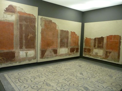 Palazzo Massimo - Villa of the Farnesina (set 2)* Mainly fresco details from living rooms, 2nd centu