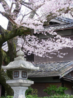 yudoku:  kyoto by CHENWEI HUANG on Flickr. 