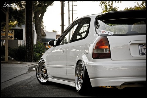 deividbersta:  White collection