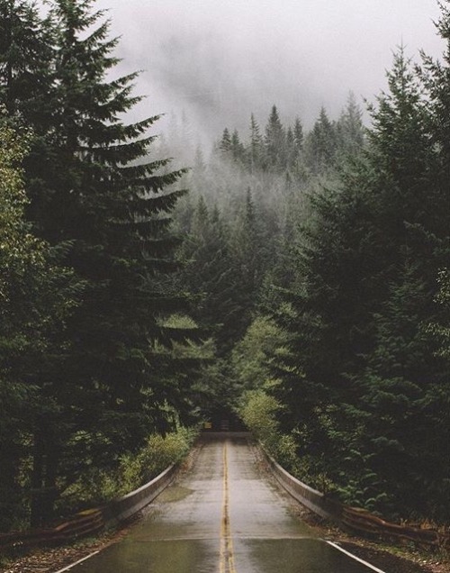 http://artichokeshaveheart.tumblr.com/post/138889901823