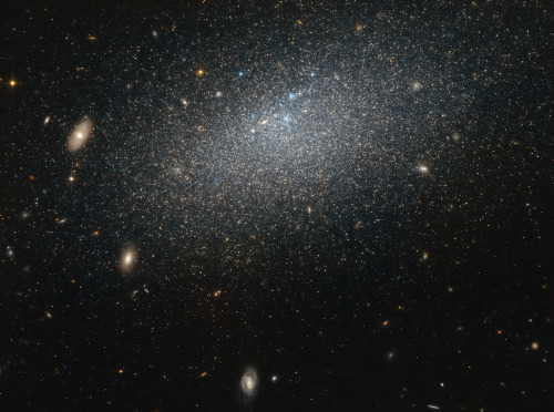 A mysterious hermit ~ galaxy UGC 4879 (also known as VV 124), is the most isolated dwarf galaxy in t