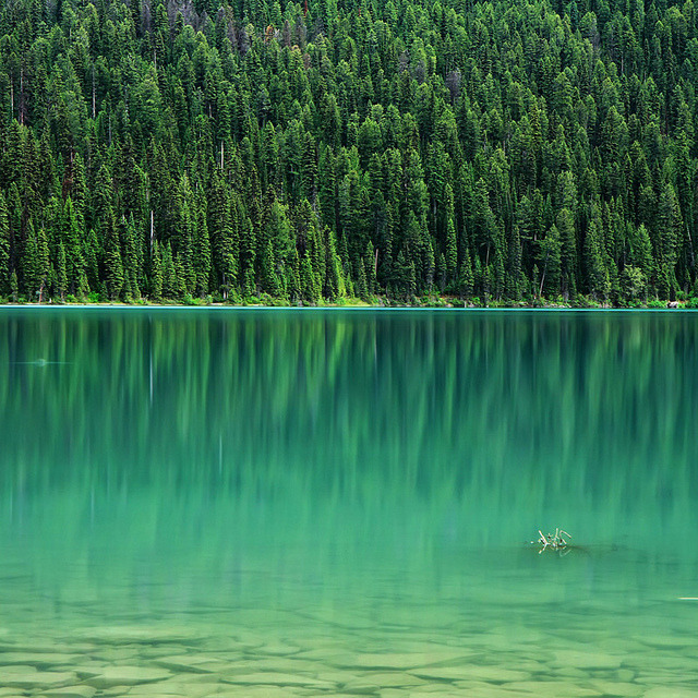 brutalgeneration:  Emerald Lake by Ania.Photography - busy on Flickr.