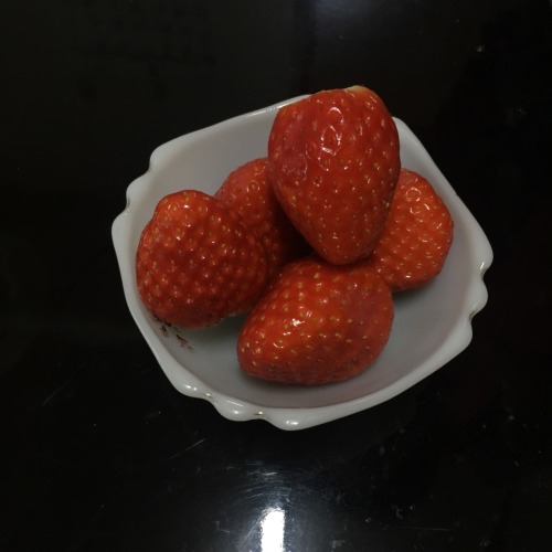 타르트 딸기 사랑해  ❤️ 아쒸 배고팡