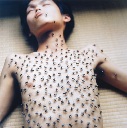 indigosstar:  Rinko Kawauchi