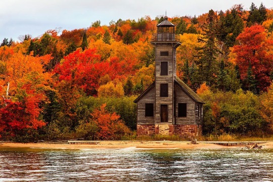 anessenceofautumn:  cozy autumn days