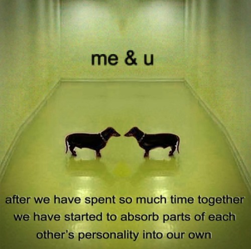 Nbc Hannibal And Becoming One Another