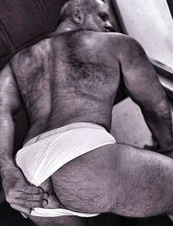 barebearx:  daddyma:  guysthatgetmehard:  pulling aside his briefs…  yes, I take it  ~~~PLEASE FOLLOW ME ** ~ ♂♂ OVER 34,000 FOLLOWERS~~~~~~ http://barebearx.tumblr.com/ **for HAIRY men &amp; SEXY men** http://manpiss.tumblr.com/ **for MANPISS