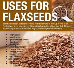 ahealthblog:  Daily supplementation of ground flaxseed can reduce estrogen levels. Reducing estrogen reduces risk of breast cancer.    