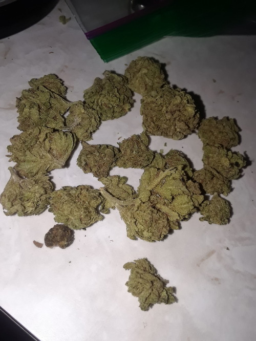 All my sacks pt ½ #weed #blunts #joints #bongs4life #Kush #Purp #marijuana