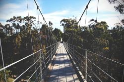ilaurens:  Spruce Street Suspension Bridge - By: (Valerie Manne)