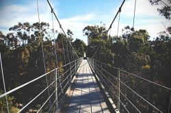 ilaurens:  Spruce Street Suspension Bridge