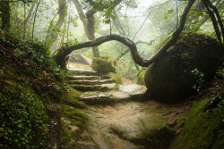 90377:   The Monastery - Sintra, Portugal