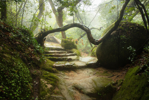 90377:The Monastery - Sintra, Portugal by James Mills jamesmillsphotography.com