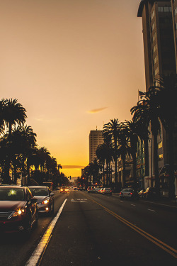 worldfam0us:  Los Angeles Sunset | WF