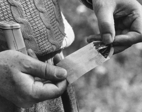 nevolimruze:  Vladimir Nabokov puts a butterfly into an envelope, 1958.Vladimir Nabokov and His Butterflies: Portrait of a Lepidopterist 1958 | LIFE.com  