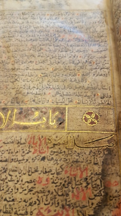 LJS 387 - Qāmūs al-muḥīṭThis manuscript, written in western Persia around the year 1400 CE, is 