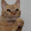 ynuu