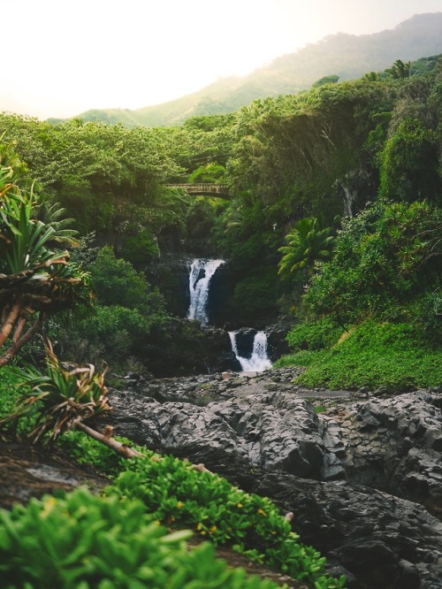 expressions-of-nature:Hawaii by Nathan Ziemanski