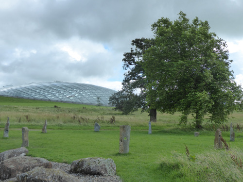 The sun came out in Wales today and I visited the National Botanic Gardens