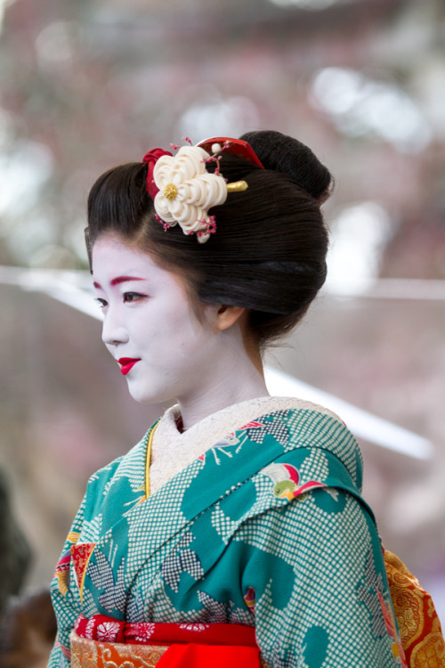 Baikasai 2017 at Kitano Tenmangu shrine, by Prado. The green kimono Maiko Katsuna is wearing is one 