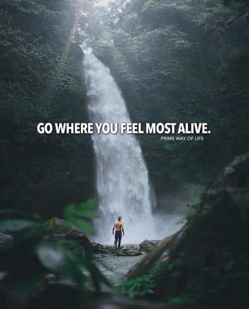 Go where you feel the most alive, be free, motivational quote