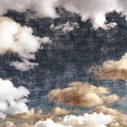 blueberrymodern:  linen clouds by holli zollinger studio 6 