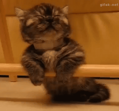 Funny Gifs - Comedy Gifs - Komik Gifler