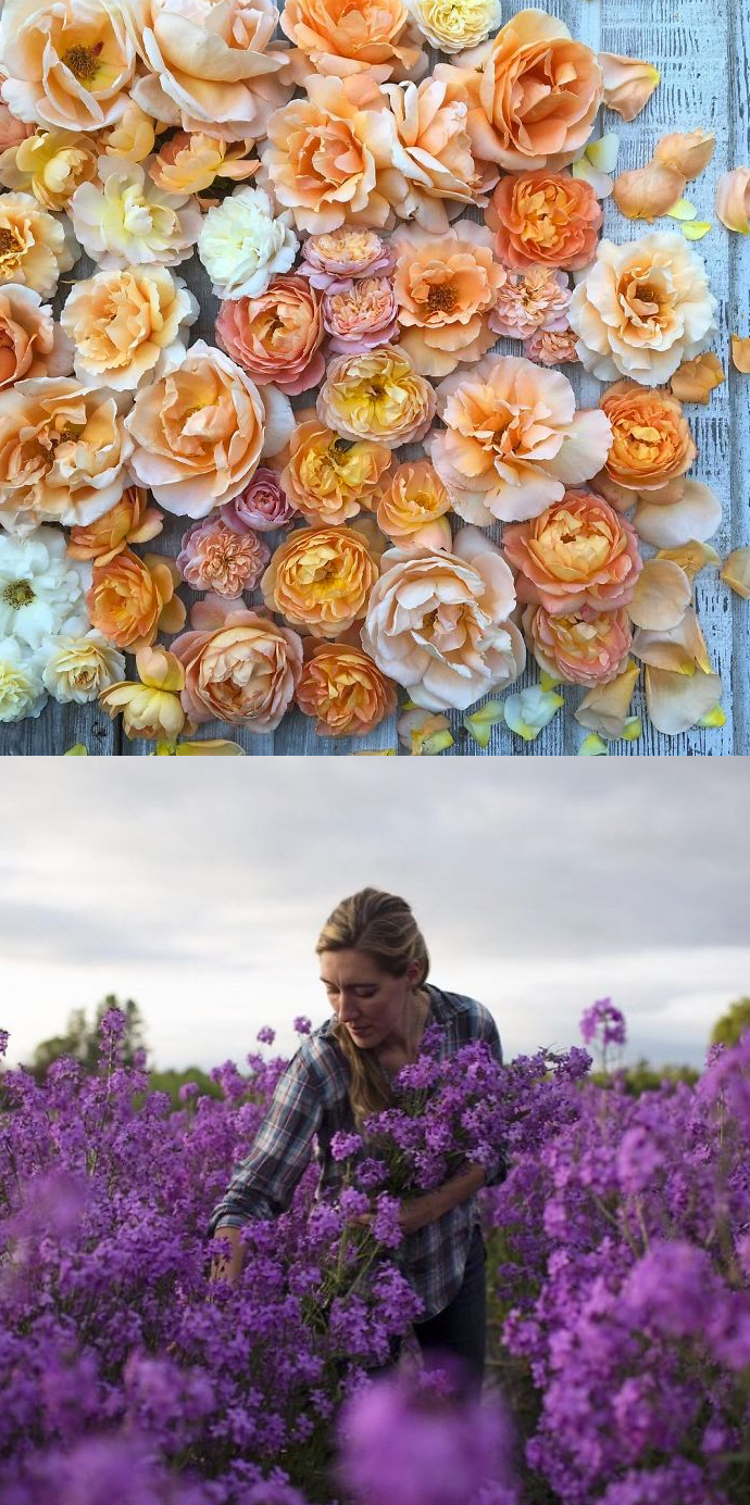 culturenlifestyle:  A Peek Inside the Life of a Florist Florist and photographer