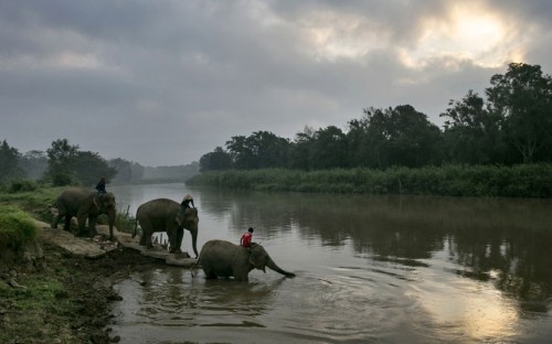 Porn Pics River crossing (Anantara Golden Triangle