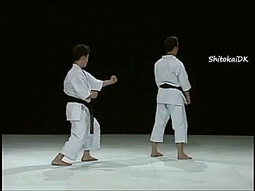 heroofomegle:  Karate: Saifa Bunkai (video) 