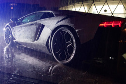 classyhustler:  Matte black Av in the rain