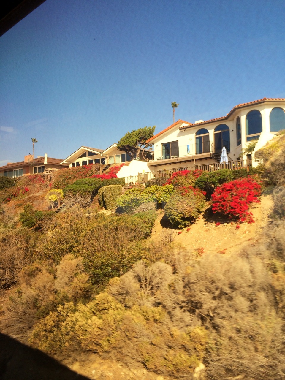 chanyounot:  Scenery pics: first 3 were from a train ride and the rest are at sdsu!