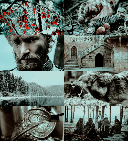 aslavg:a song of ice and fire aesthetics:HOUSE S T A R K - Tumblr Pics