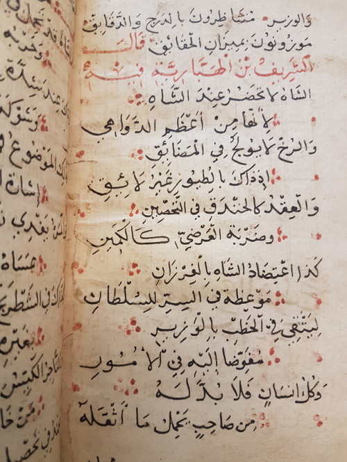 LJS 495 -[Kharīdat al-ʻajāʼib wa farīḍat al-gharāʼib]This beautiful manuscript is a cosmography