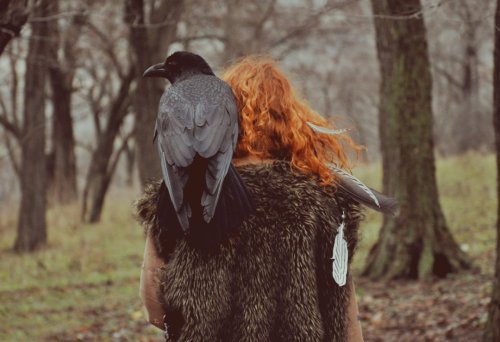 coelasquid:  zorobro:  birdworlds:  Owning a Raven is a lot of work, in America African Ravens & crows are legal to own. I’ve interacted with companion ravens before and they are fantastic. Seeing this incredible bird free flying and playing in