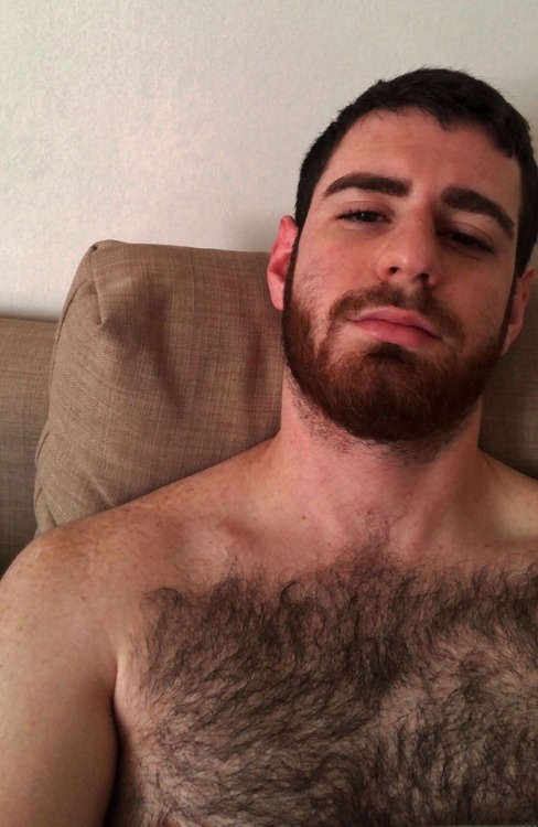 bearyfellas: 🐻 sometimes you just need a bearyfella 🐻 bearyfellas.tumblr.com 