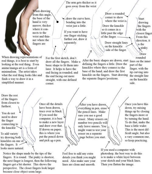 carnie-vorex:  fucktonofanatomyreferences:  A mouth-watering fuck-ton of hand references. [From various sources]  Useful. 