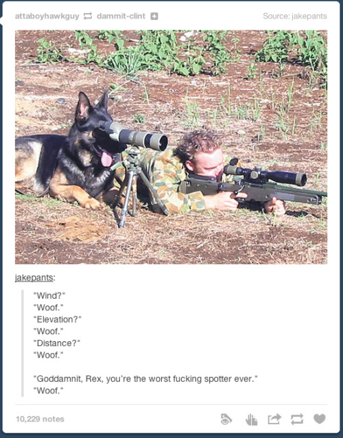 tbotofficial: The Best of Tumblr #11 #10 / #9 / #8 / #7 / #6 / #5 / #4