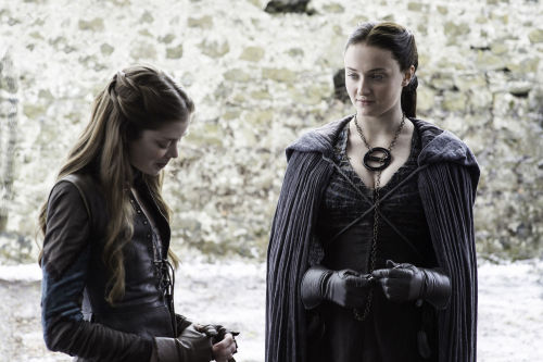 Princess in the North - Sansa Stark